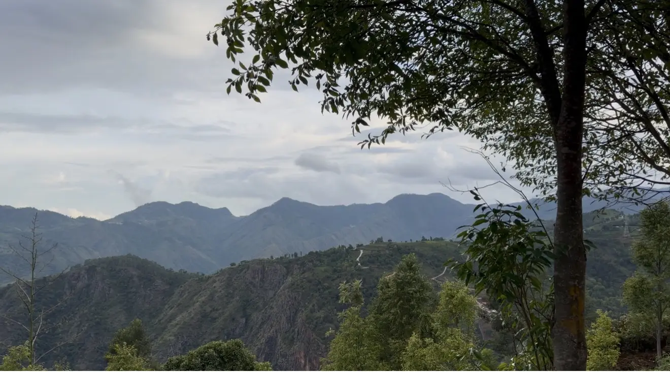 Layered blue-green ridges of the Nilgiris under a soft cloudy sky, framed by a tree